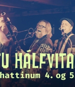 Ljótu Hálfvitarnir